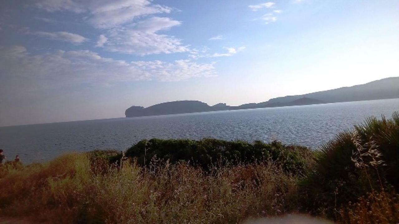 포르토 콘테 Privacy & Relax In Sardegna B&B 외부 사진
