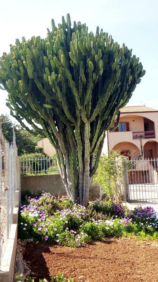 포르토 콘테 Privacy & Relax In Sardegna B&B 외부 사진